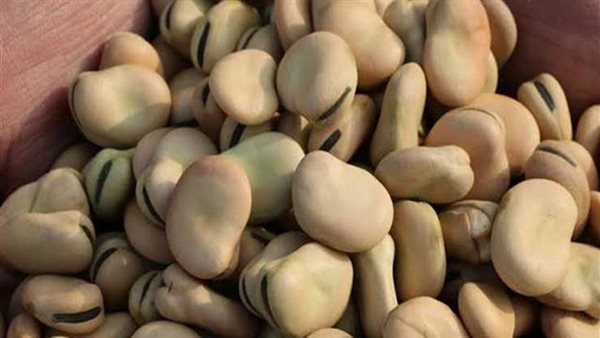 في أول أيام رمضان.. ارتفاع أسعار الفول والجبن بالأسواق 