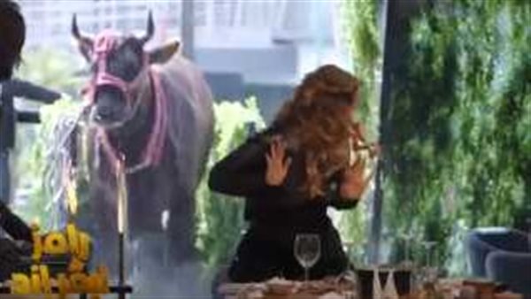 ايه اللبس ده؟..انهيار إيمان العاصي من الفزع بسبب الثور في رامز نيفر إند | فيديو