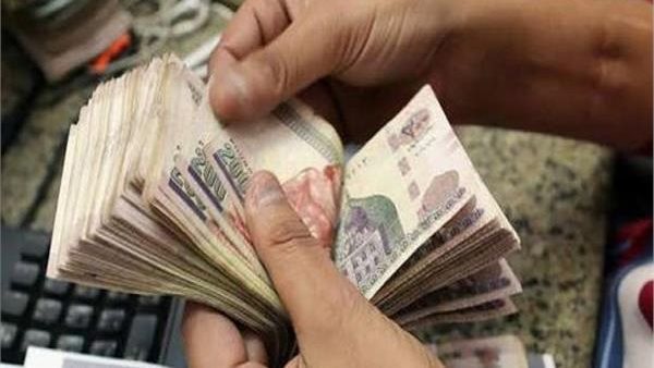 بيان رسمي يكشف حقيقة منح المواطنين 2500 جنيه مقابل تسجيل بياناتهم الشخصية في التموين