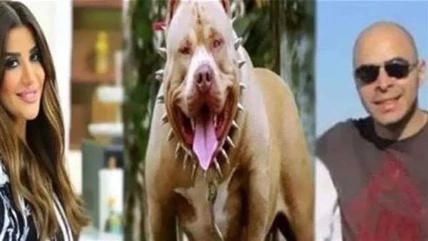 بسبب عضة كلب ووفاة الضحية.. هل يتم حبس المذيعة وزوجها بتهمة القتل الخطأ؟