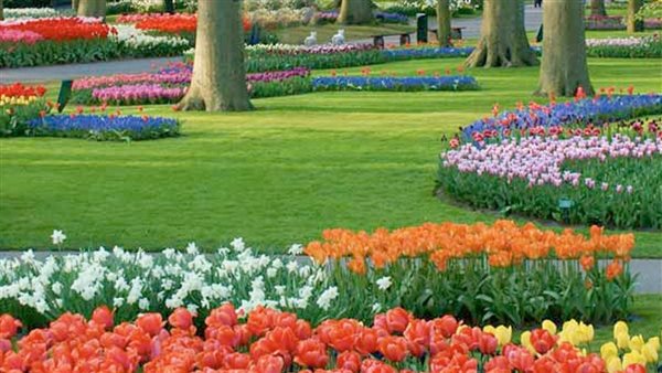 بيان عاجل من القوى العاملة بشأن موعد إجازة شم النسيم بالقطاع الخاص