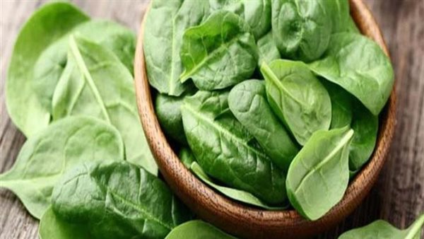 تعرف عليها.. 40 فائدة لجسمك عند تناول السبانخ
