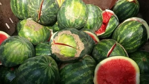 10 علامات احذرها أثناء الشراء.. كيفية معرفة البطيخ الفاسد