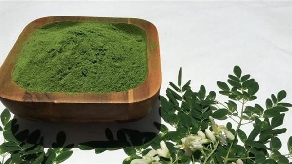 نبات سحري لعلاج السكر.. يقوي المناعة ويحمي من مشاكل الجهاز التنفسي