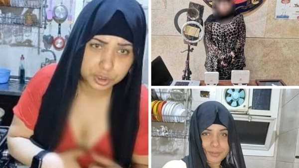 صور ومقاطع خادشة.. تفاصيل الحكم بحبس أنوش ملكة الروتين المنزلي