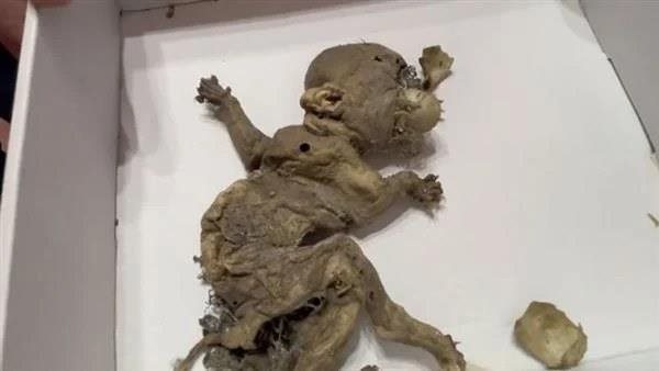 يشبه العفريت.. العثور على أمر مرعب في مستودع مهجور