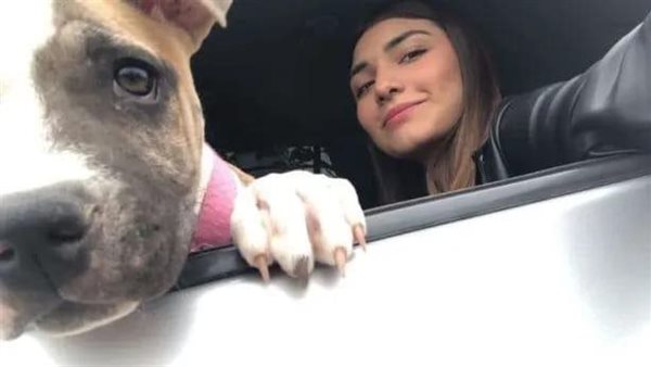 لم يتحمل.. رد فعل غير متوقع من كلب بعد وفاة صاحبته في حادث