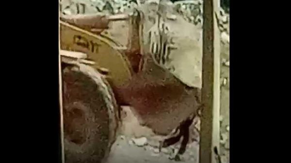 انتقام بشع.. سائق يدهس مهندس بـ لودر بسبب خلافات العمل بالتجمع