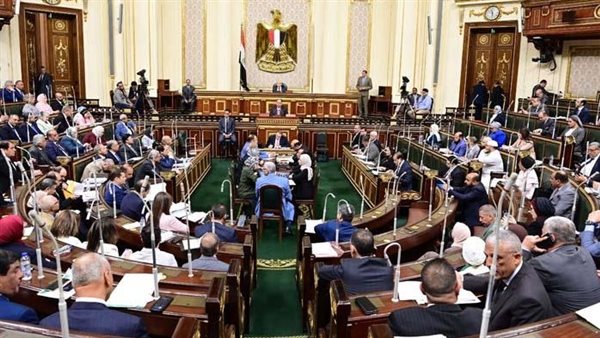 تعرف على التفاصيل.. فرض رسم جديد على المياه الغازية والأسماك والبن والسلع المعمرة