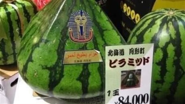 شكلها هرمي..بطيخة بـ23 ألف جنيه تثير جدلا على مواقع التواصل | شاهد