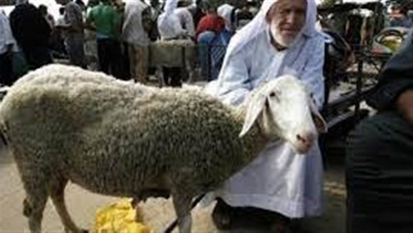 مع استقبال عيد الأضحى.. سكان قطاع غزة لا يريدون مزيدا من الحروب