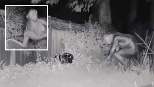 هنيدي: “نسي يستر نفسه”.. حكاية ظهور كائن فضائي في أمريكا واول تعليق من البيت الأبيض | فيديو