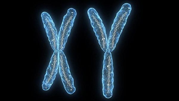 مفاجأة علمية كبرى.. الرجال سينقرضون من العالم في هذا التوقيت