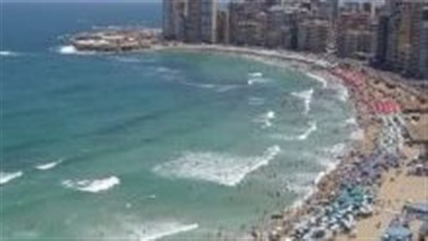 لافتة بالاسكندرية تثير الغضب.. ماذا قالت صاحبتها وكيف رد عليها المواطنون ؟ | شاهد