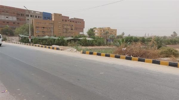 تستمر 5 أيام.. الأرصاد تعلن توقعات موجة الحرارة الشديدة وتوجه نصائح عاجلة