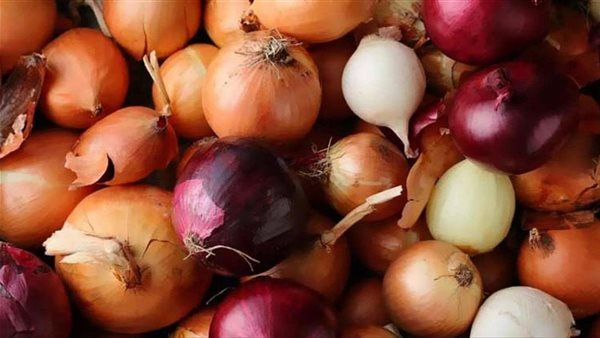 برلماني يكشف سبب ارتفاع أسعار البصل بالأسواق