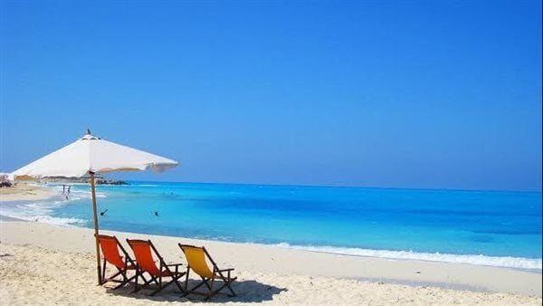 شغل تريندات ولا جشع.. أزمة في الساحل الشرير لهذا السبب | شاهد