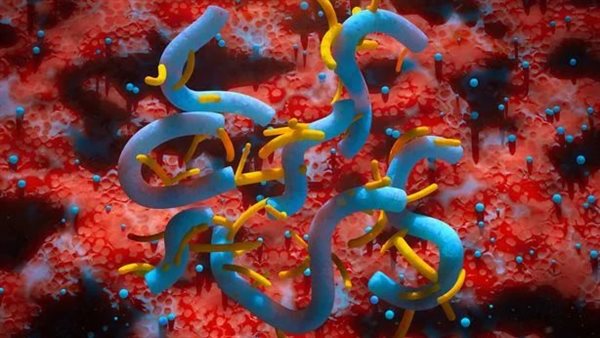 فيروس ليس له علاج.. ارتفاع أعداد المصابين بمرض الأشباح يثير رعب العالم