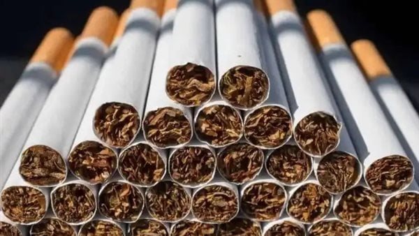  هتزيد تاني.. مفاجأة في أسعار السجائر للمستهلكين