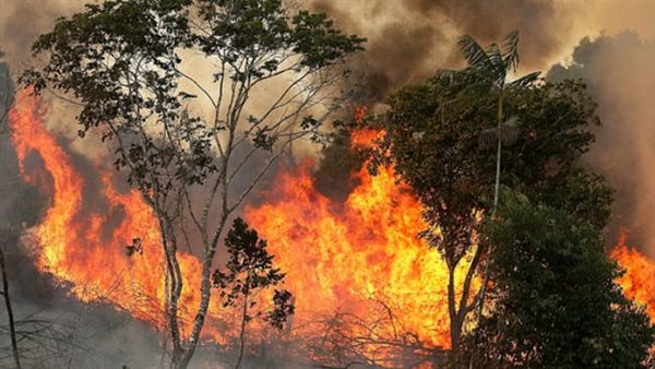 رئة الأرض تختنق.. هل هناك تهديد وجودي كما قال الرئيس الأمريكي؟ 