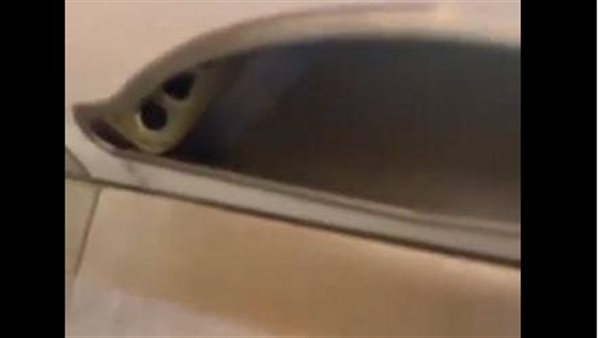 هاتف مخبأ بحمام السيدات.. تفاصيل مثيرة في سقوط شخصين في قبضة الشرطة | فيديو