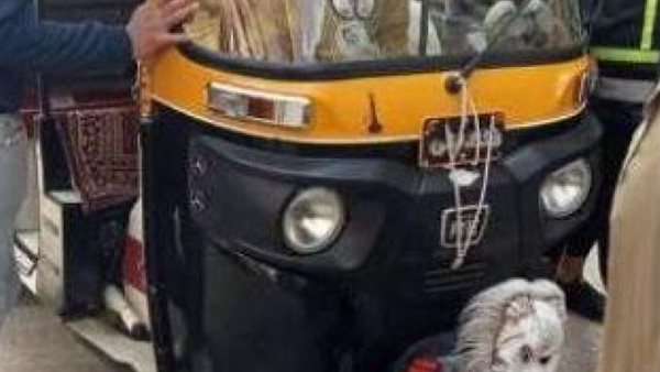 فعل غير أخلاقي.. تفاصيل مثيرة في الحكم بالسجن لـ عاطل تعدى على شاب داخل توك توك بأسيوط