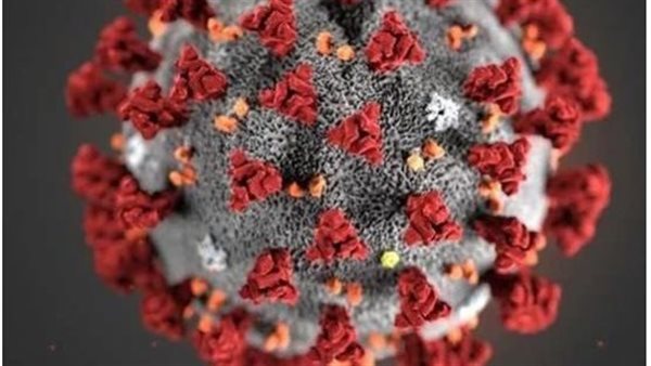 بعد ظهور أول إصابتين بمتحور كورونا في مصر.. هل تفرض الحكومة ارتداء الكمامة؟