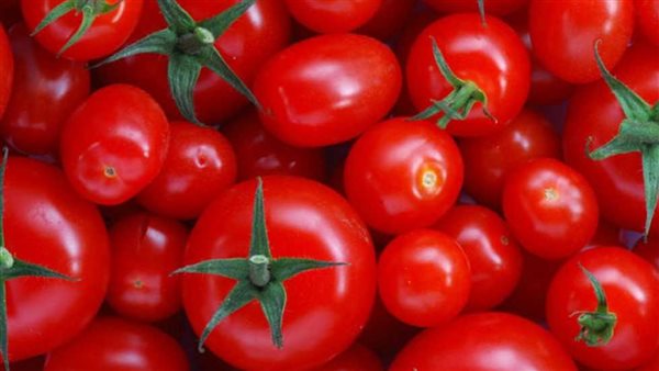 كيلو الطماطم بـ20 جنيها.. سبب ارتفاع الأسعار وموعد الانخفاض