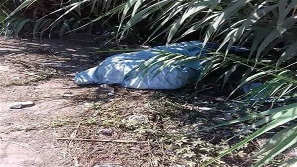 هيكل عظمي في بطن الترعة.. تفاصيل العثور على رفات شاب مختفي منذ 8 سنوات بالمحلة