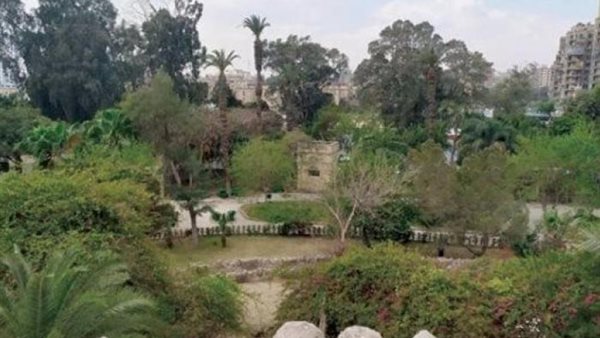الحكومة تكشف حقيقة قطع النباتات والأشجار النادرة في حديقة الأسماك بالزمالك