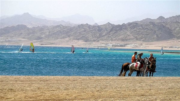 بتر الذراع اليسرى.. تفاصيل التقرير الطبي لهجوم سمكة قرش على سيدة بدهب