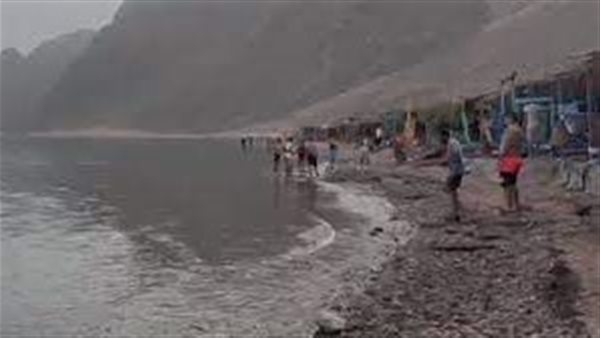 رفع حالة الاستعداد.. تحرك عاجل من البيئة بشأن ظهور سمكة قرش في دهب