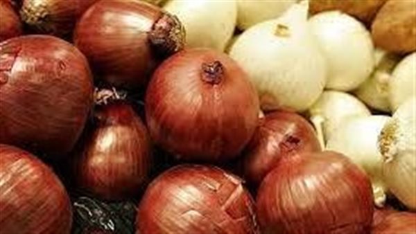 بعد الجدل.. بيان رسمي يكشف حقيقة إلغاء حظر تصدير البصل لمدة 3 أشهر