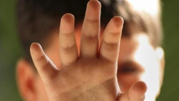استدرجه لسطح المنزل.. أم تتهم منجد بالتحرش بطفلها في الدقهلية