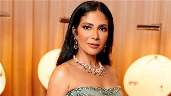 حبس وغرامة.. تفاصيل الحكم على المتهم بسب وقذف الفنانة منى زكي