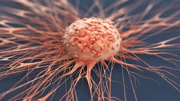 نوع شاي يحارب السرطان.. هذا ما يحدث للجسم عند تناوله 