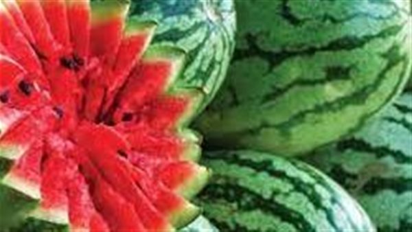 قصة لها العجب.. لماذا منعت إسرائيل البطيخ عن غزة وأعلنت اعتقال من يشتريه ؟