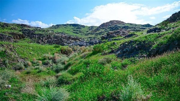 ما القصة؟.. ظاهرة في مكة تنذر باقتراب يوم القيامة 