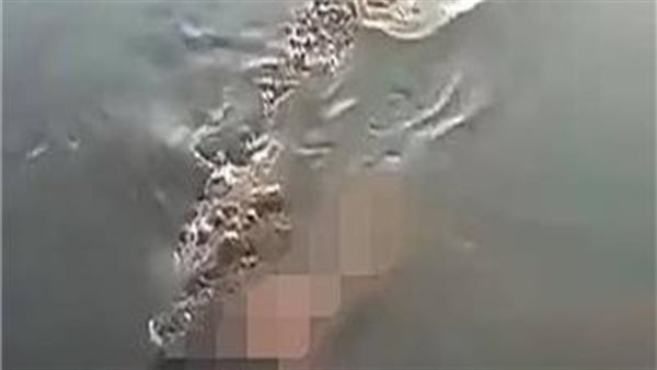 تمساح ولا نداهة؟.. جسم غريب يثير الجدل بترعة الجعفرية