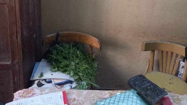 بيقطفوا ملوخية.. تفاصيل مثيرة في إحالة مدير مدرسة للتحقيق