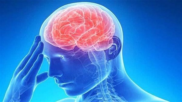 احذر.. طبيبة تحدد الأطعمة الأكثر ضررا بالدماغ