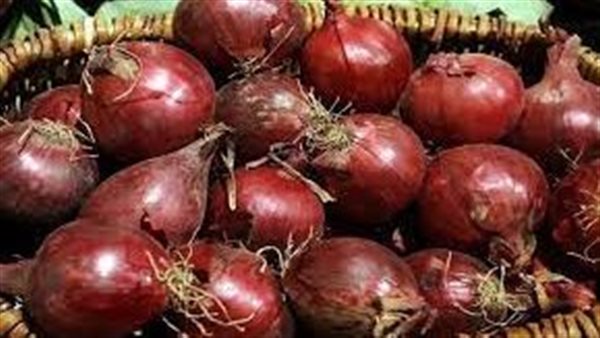 ارتفاع قياسي للبصل في الأسواق.. كم وصل سعر الكيلو الآن؟ وموعد انخفاضه