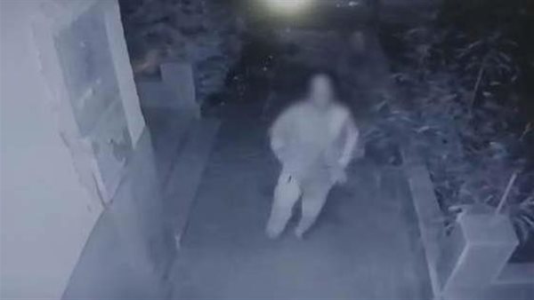 فيديو مرعب وبيان رسمي.. القصة الكاملة لسفاحة الشيخ زايد المزعومة