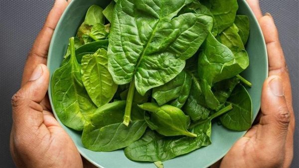 احذرها في هذه الحالة.. 5 فوائد للسبانخ أهمها الحماية من الأنيميا