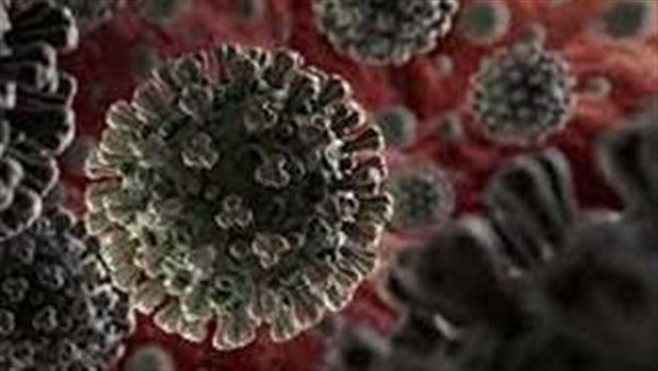 بعد كورونا.. خطر جديد يهدد العالم والصحة العالمية تحذر