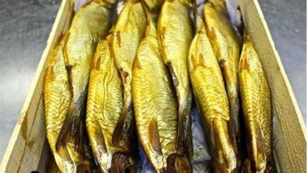 دراسة تكشف مفاجآت.. ماذا يحدث في مستويات الكوليسترول عند تناول الرنجة؟ 