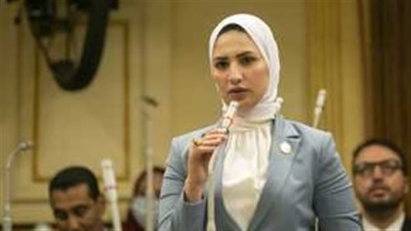 تمثل محافظة أسيوط وحزب الوفد.. من هي النائبة المتهمة بالغش في جامعة جنوب الوادي؟