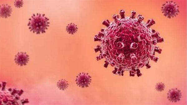 ما القصة؟.. تجارب صينية تؤدي لانتشار فيروس جديد