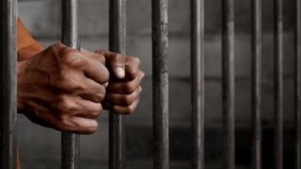 حرب الجنازير.. تفاصيل الحكم على أب وابنه متهمين بضرب سيدة وشاب في الشرقية