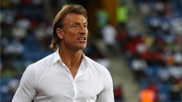 ميصحش اللي عمله.. ماذا فعل هيرفي رينارد ردا على تدريب منتخب مصر؟